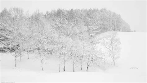 Hokkaido Winter Landscape Photography Adventure 2020