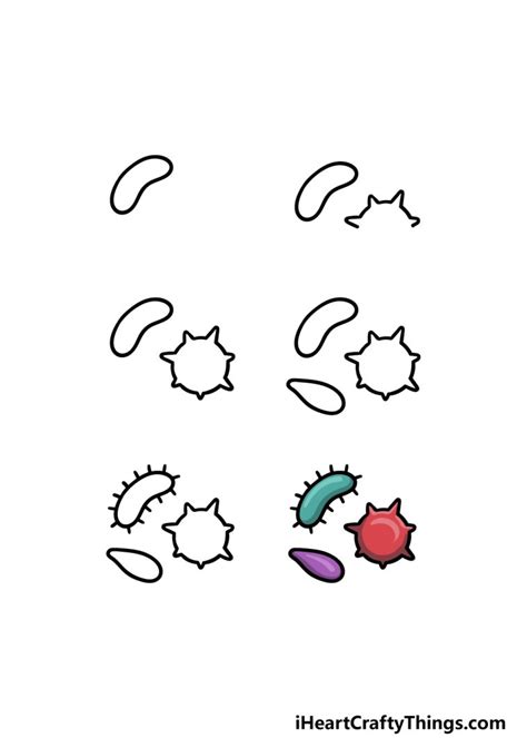 Bacteria Drawing How To Draw Bacteria Step By Step
