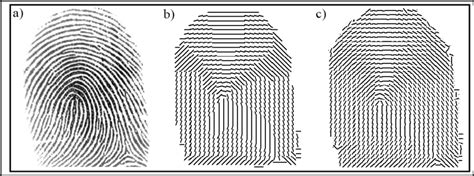 A Fingerprint Image B Discrete Orientation Field C Orientation