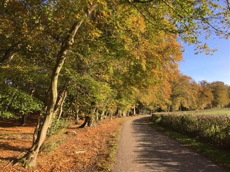 An Autumn Walk From Turville In The Chilterns Buckinghamshire A