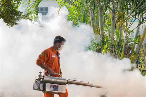 How To Fog Your Yard For Mosquitoes Do Mosquito Foggers Work