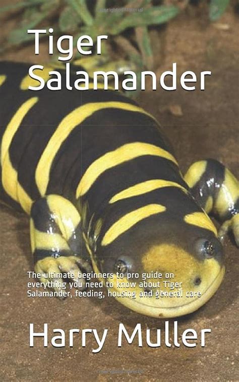 Tiger Salamander The Ultimate Beginners To Pro Guide On Everything You