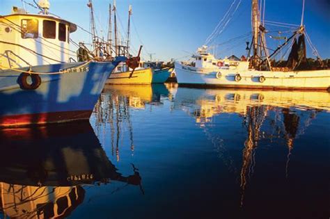 Shem Creek Mount Pleasant Sc Picture Of Mount Pleasant Coastal