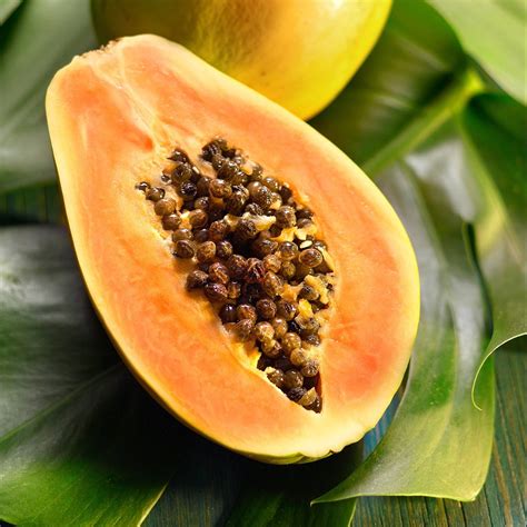 Papaya Petrus Maximinus