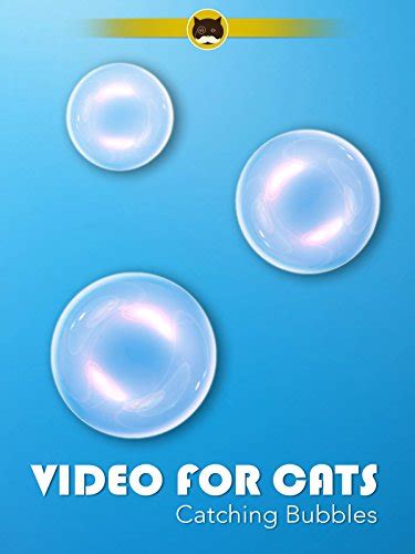Video For Cats Catching Bubbles Bubbles Tvbini