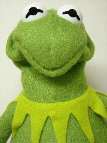 Kermit The Frog Sad Face Best Shit Ever Pinterest