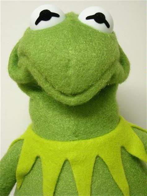 The 25 Best Kermit The Frog Ideas On Pinterest Green