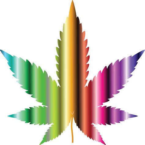 Transparent Real Weed Leaf Png - Marijuana Leaves Cut Out Clipart png image