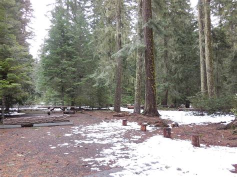 Site 12 Fish Lake Campground Rogue River