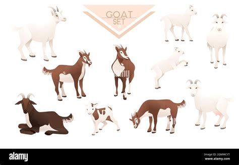 Set Of Cute Goatling White Goat Farm Animal Cartoon Animal Design