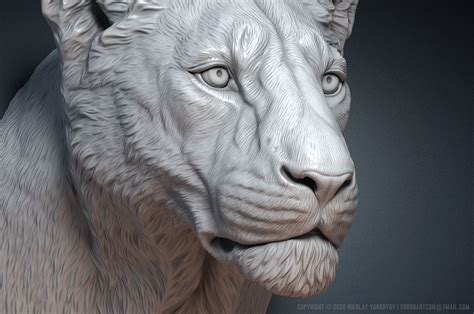 Lioness Sculpture Bust 3d Model Digital Sculpting By Voronart