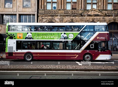 The Panda Bus, Edinburgh Zoo advert - Get Ready for a Giant Farewell