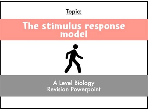 The Stimulus Response Model A Level Biology Teaching Resources