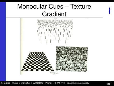 There are a number of sayings about the attractions of something distant or inaccessible, for example blue are the faraway hills. PPT - Scientific Underpinnings of Usability Engineering PowerPoint Presentation - ID:781765