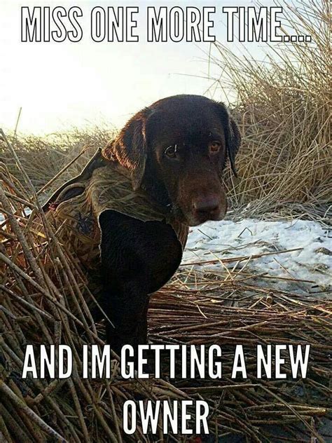 The Best Funny Hunting Dog Memes Ideas