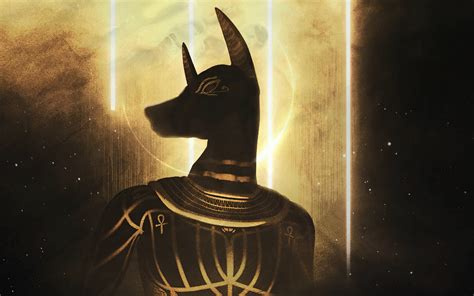 4k Anubis Hd Wallpapers 1000 Free 4k Anubis Wallpaper Images For All
