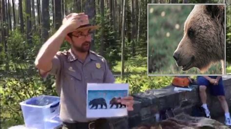 How You Can Survive A Bear Attack Glacier National Park Grizzly