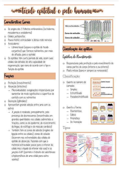 Resumo De Biologia Enem Medicine Studies Study Board Study Time