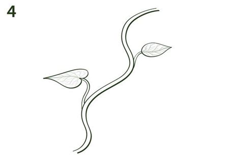 How To Draw Vines For Flowers Ehow Vine Drawing Flower Drawing