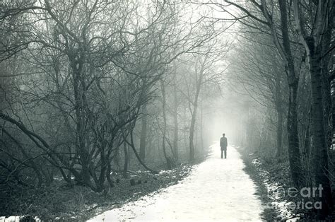 Man Alone On A Snowy Path In Fog Photograph By Lee Avison
