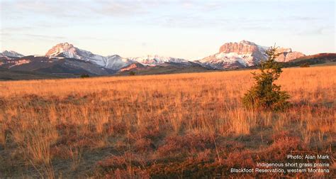 North Americas Northern Great Plains Iucn