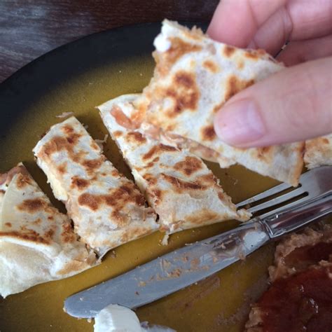 Is This How Humans Eat Quesadillas