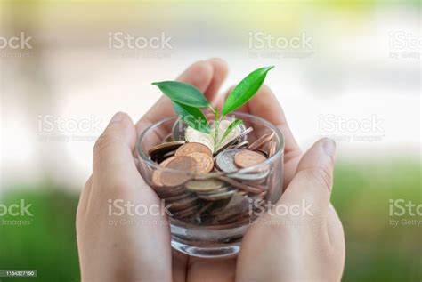 Growing Crops In Coins Saving The Concept Of Giving Knowledge Creating