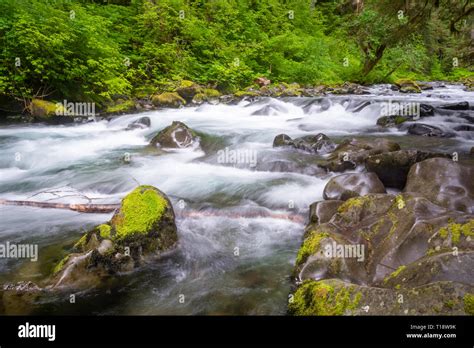 Sol Duc River In Sol Duc Forest Olympic National Park Or Peninsula