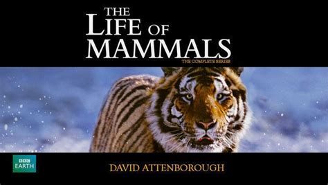 The Life Of Mammals Alchetron The Free Social Encyclopedia