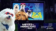 Movies by Moonlight – The Loop