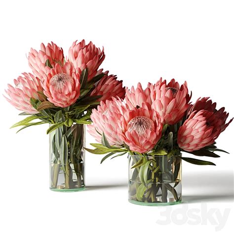 Two Bouquets Of Proteas In Glass Vases Bouquet 3d Model