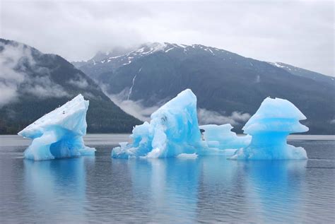 Best Alaska Glacier Cruises Explained All You Need To Know