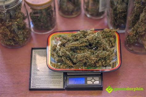 250 grams equals 8.818 ounces. How Many Grams in an Ounce? | Greendorphin.com