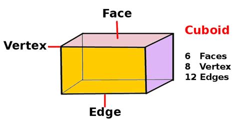 Total Surface Area Of Cuboid At Algebra Den