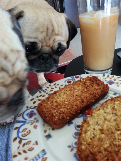 Grubbin Pugs Coconut Banana Bread