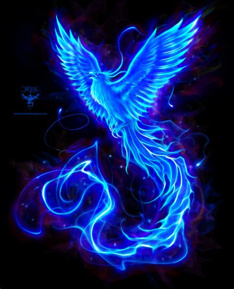 Blue Phoenix Logo By Amorphisss Phoenix Bird Art Phoenix Ar Daftsex Hd