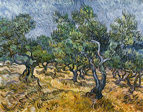 Olive Tree Paintings Van Gogh Gogh Van Vincent Olive Grove Painting