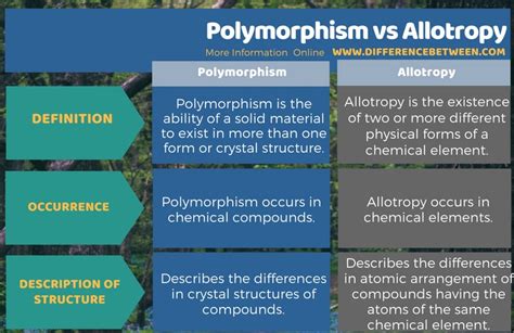 Difference Between Polymorphism And Allotropy Compare The Difference Between Similar Terms