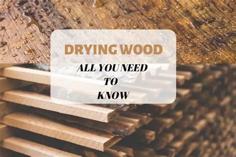 Drying Wood All You Need To Know Start Woodworking Now