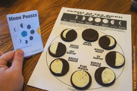Phases Of The Moon Oreo Activity Worksheet