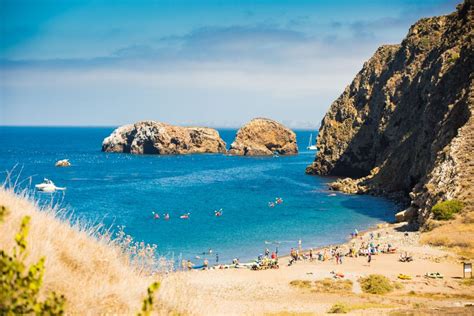 Channel Islands National Park Where The Wild Things Are Food And