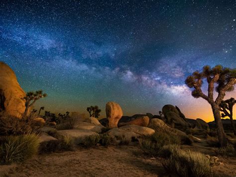 Starry Sky Desert Area Night In Joshua Tree National Park