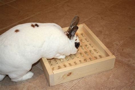 Bunny Rabbit Sisal Digging Box Etsy Indoor Rabbit Bunny Care
