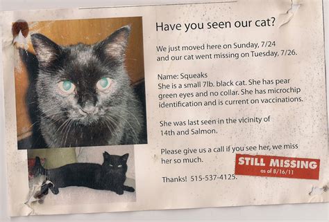 Missing missy | lost cat poster, lost cat, cat posters. The Missing Cat Poster Blog