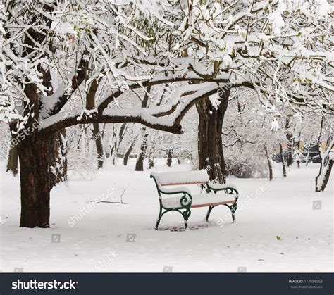 Bench Park Snow Winter Stock Photo 114056563 Shutterstock