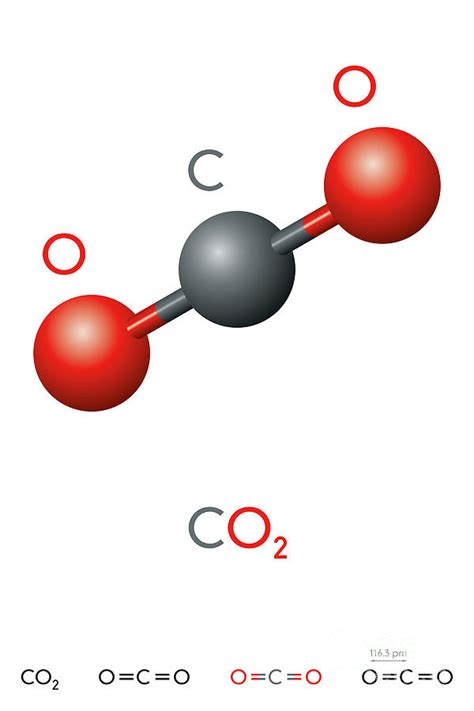 Carbon Dioxide Co2 Molecule Model And Chemical Formula Digital Art By
