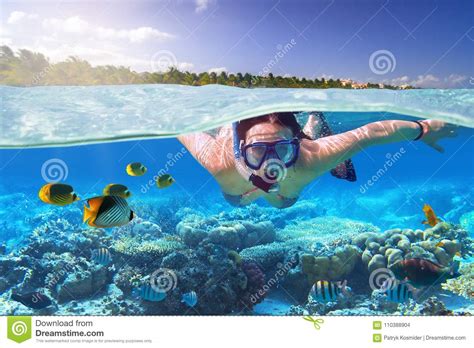 Giovane Donna Ad Immergersi Nell'acqua Tropicale Fotografia Stock - Immagine di estremo ...