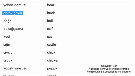 Animals Names In Turkish Part 1 Turkish For Beginners Youtube