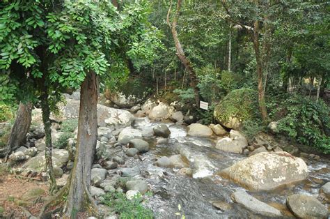 Ma jalan lam taiping pulau pinang. cute PANDA: Hutan Lipur Ulu Kenas, Kuala Kangsar