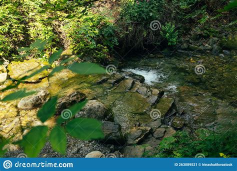 Mountain Stream In Green Forest At Spring Time With Sunbeams Stock